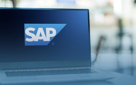 como funciona o sap