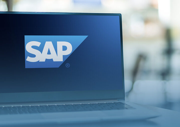 como funciona o sap